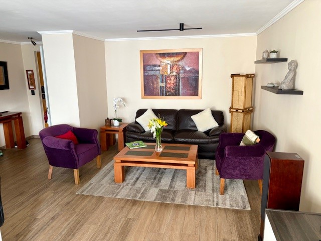 SE VENDE-LINDO DEPTO EN SECTOR LUIS THAYER OJEDA-PROVIDENCIA