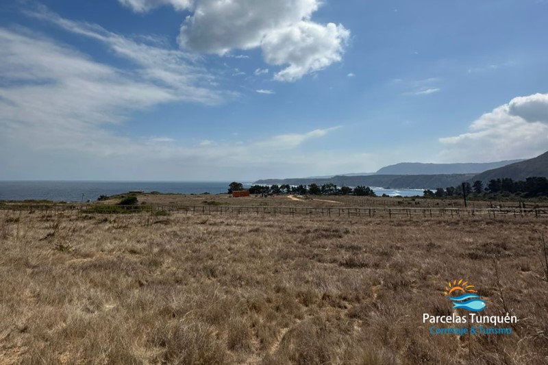 SE VENDE TERRENO (PARCELA) SECTOR PUNTA GALLO NORTE-TUNQUEN