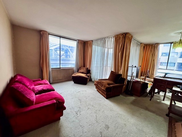 SE VENDE DEPTO PARA REMODELAR - EN SECTOR POCURO/LOS LEONES